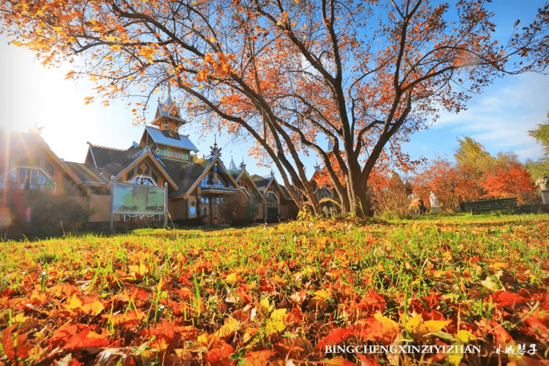 这个秋天,被收藏起来的哈尔滨醉美秋色
