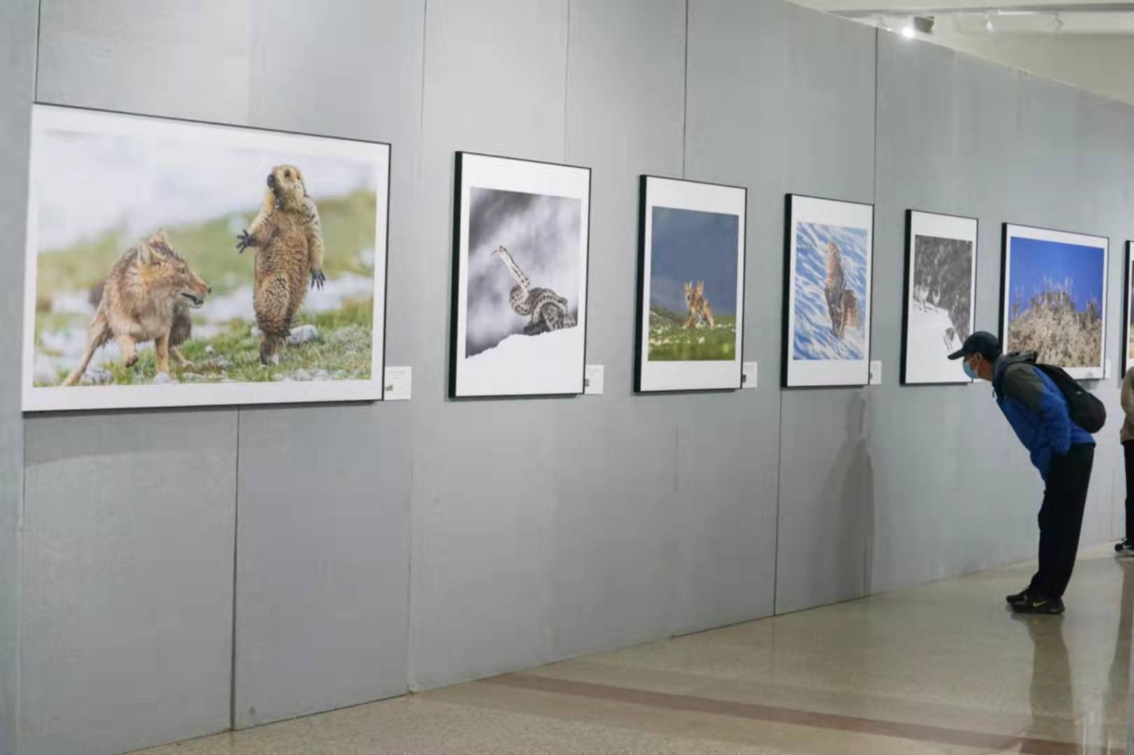 遴选出|200幅精美影像，展示国家公园里的“绿水青山”