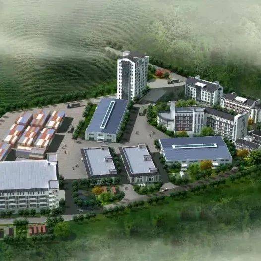 福建省商务厅联合福州海关调研武夷山国际货运班列发展情况_通关