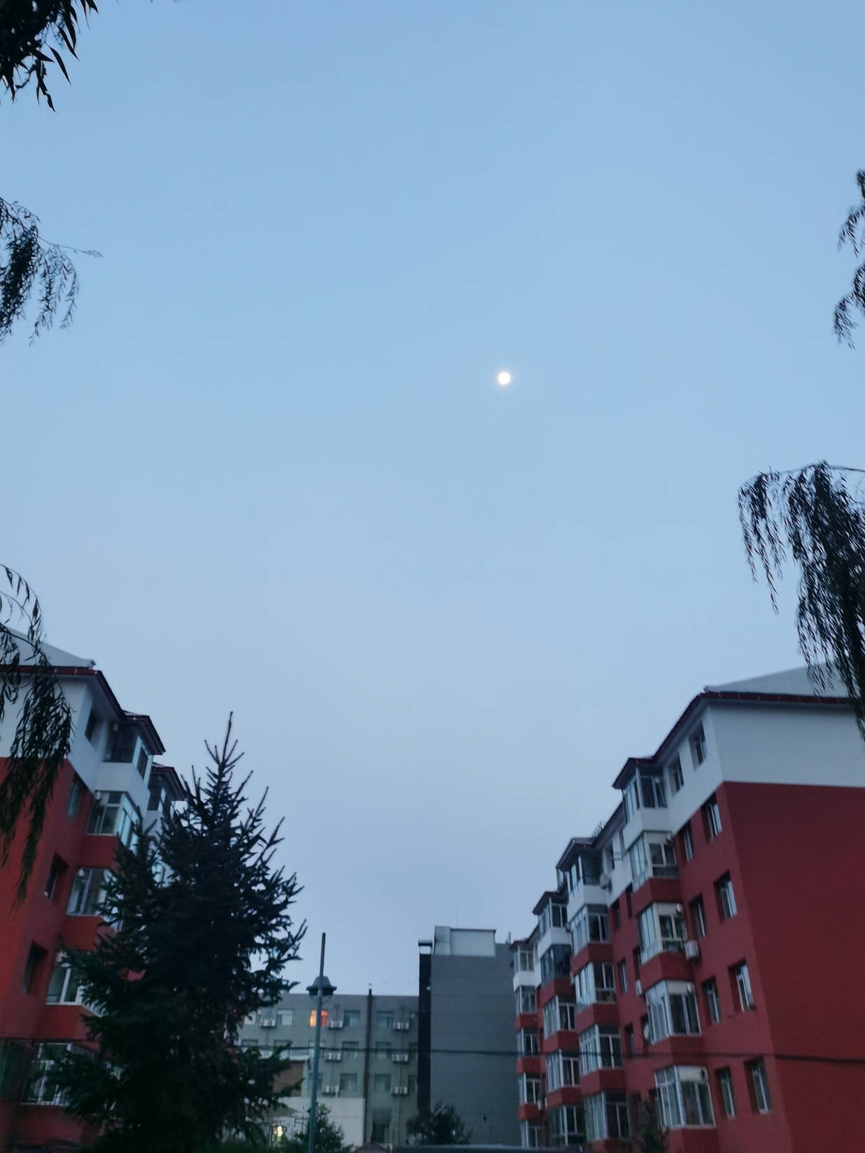 在迷蒙中醒来,如何描述这一夜的完整,这里的黎明静悄悄,一种新生的