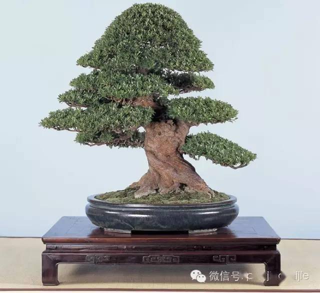 "鬼才"小林国雄的绝技与成名作_作品