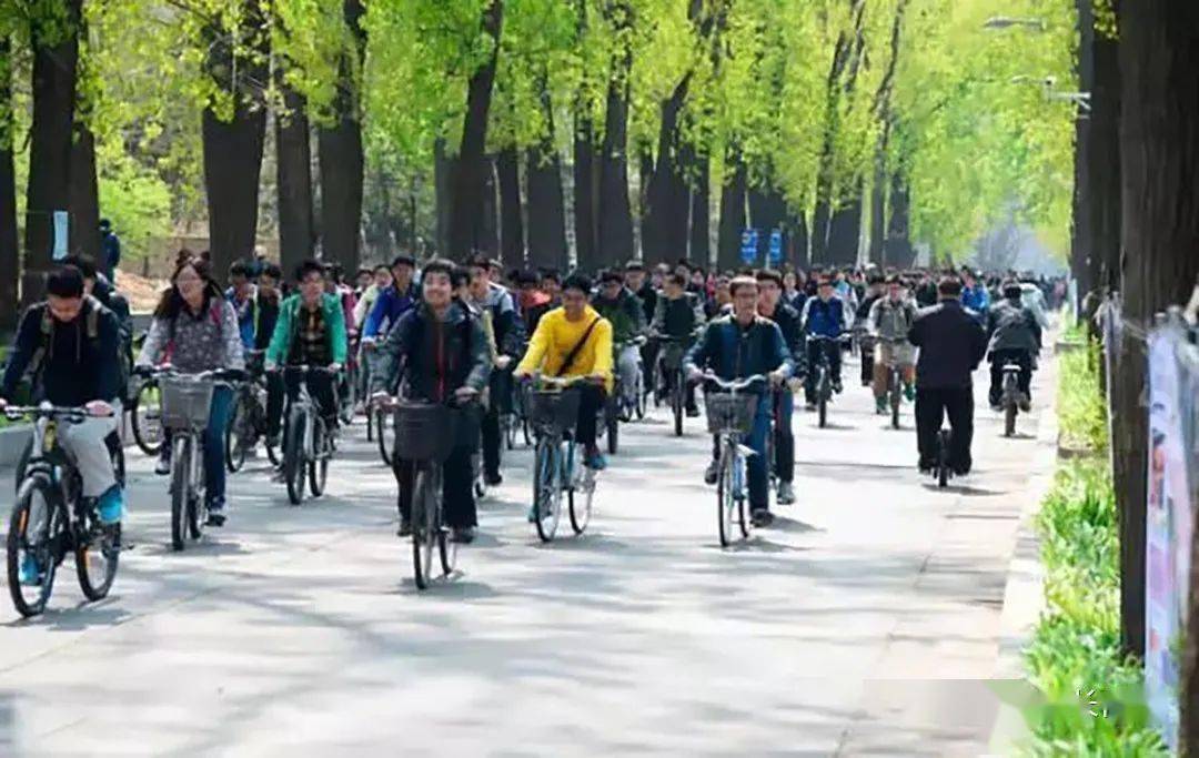 年代|?徐国赞：自行车的前世今生