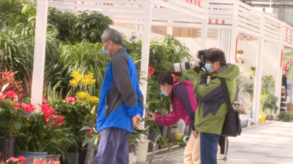 天津花卉市场批发在哪里