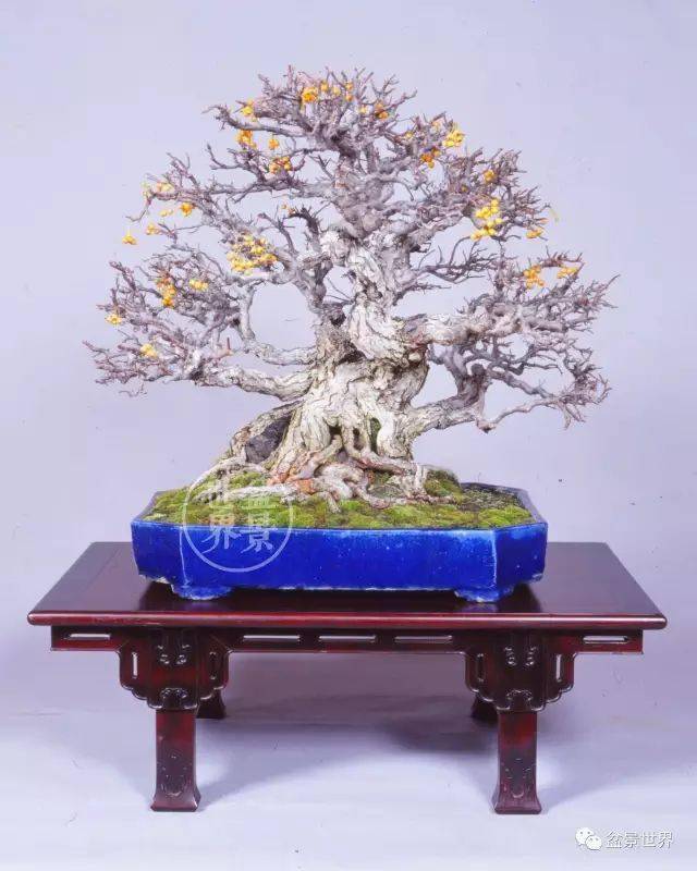 "鬼才"小林国雄的绝技与成名作_作品