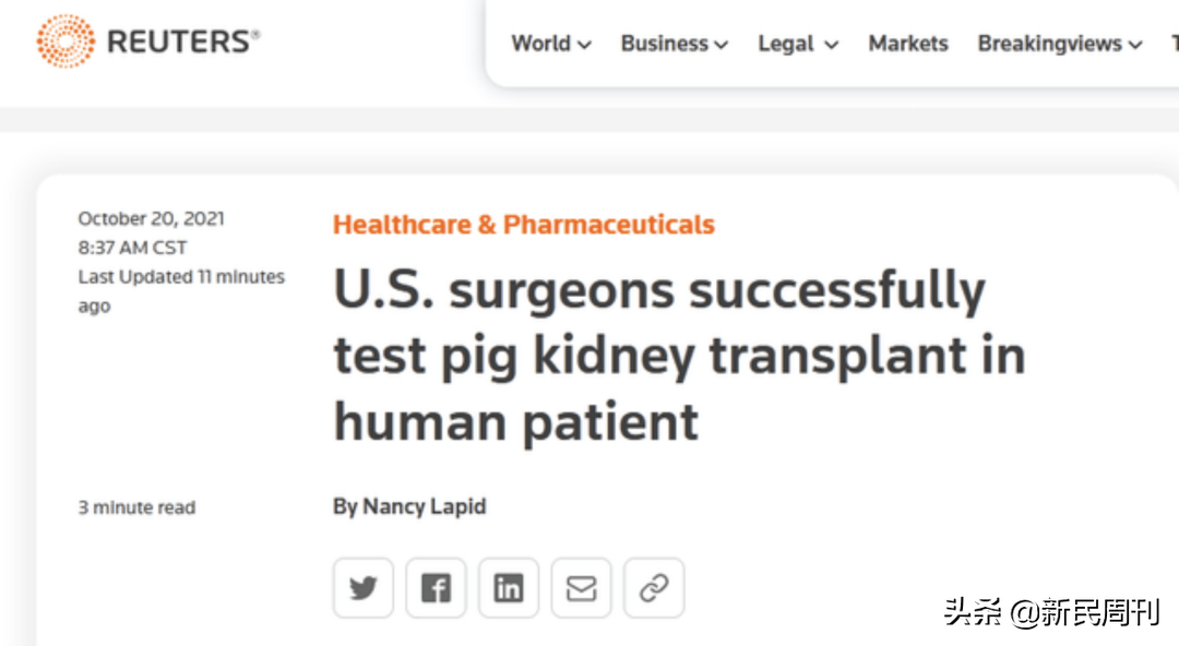 首例|世界首例猪肾移植人体成功，作秀大于临床应用？