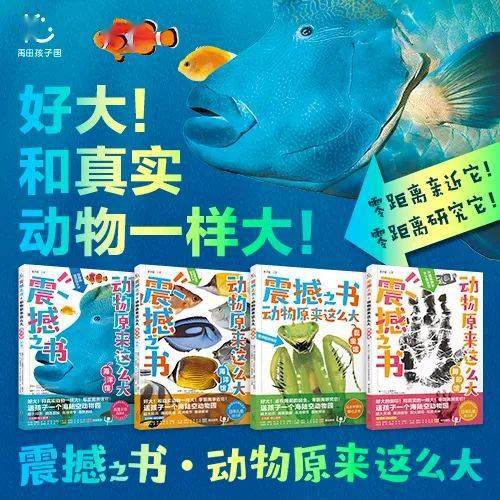 在海底隧道开沉浸式新书发布会和震撼之书一起燃
