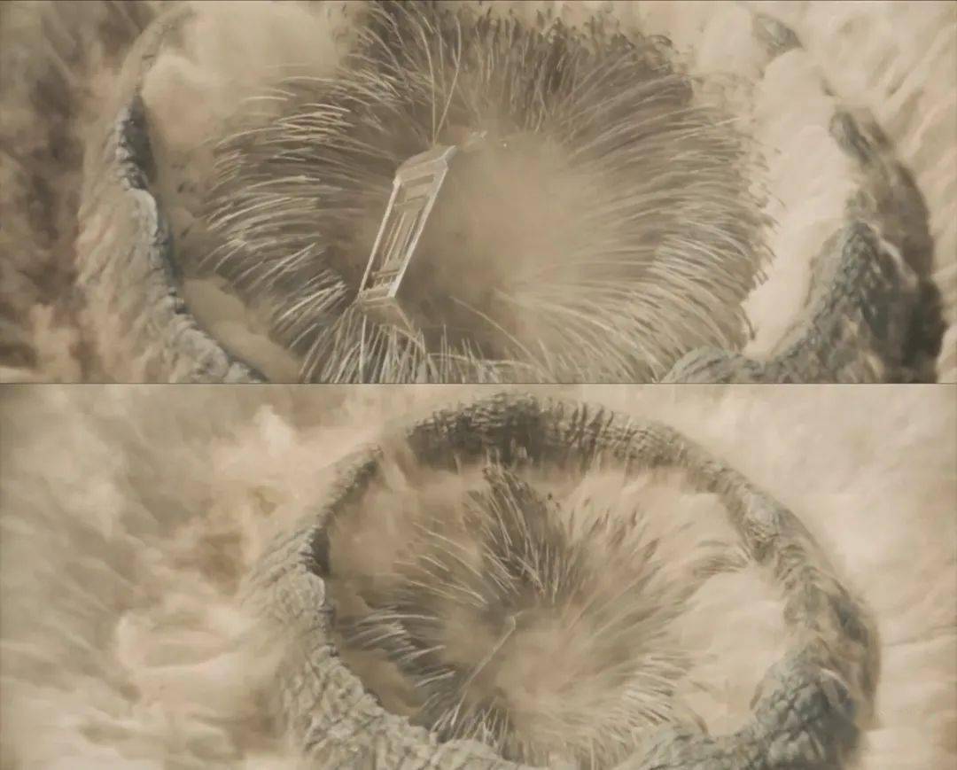 电影里吃人的沙虫现实中挺好吃