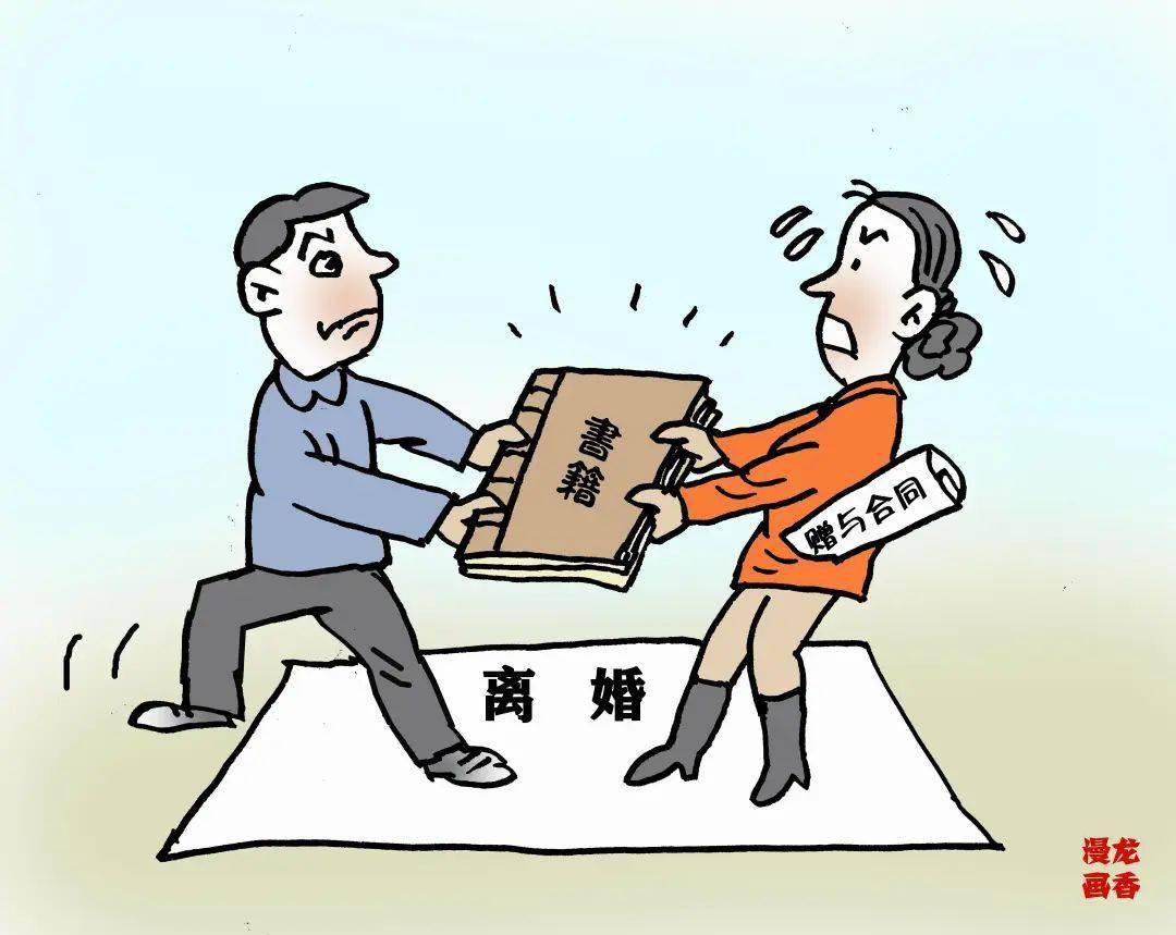 普法宣传漫解民法宝典婚姻家庭编上