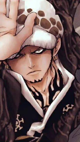 海贼王壁纸感受罗的帅气