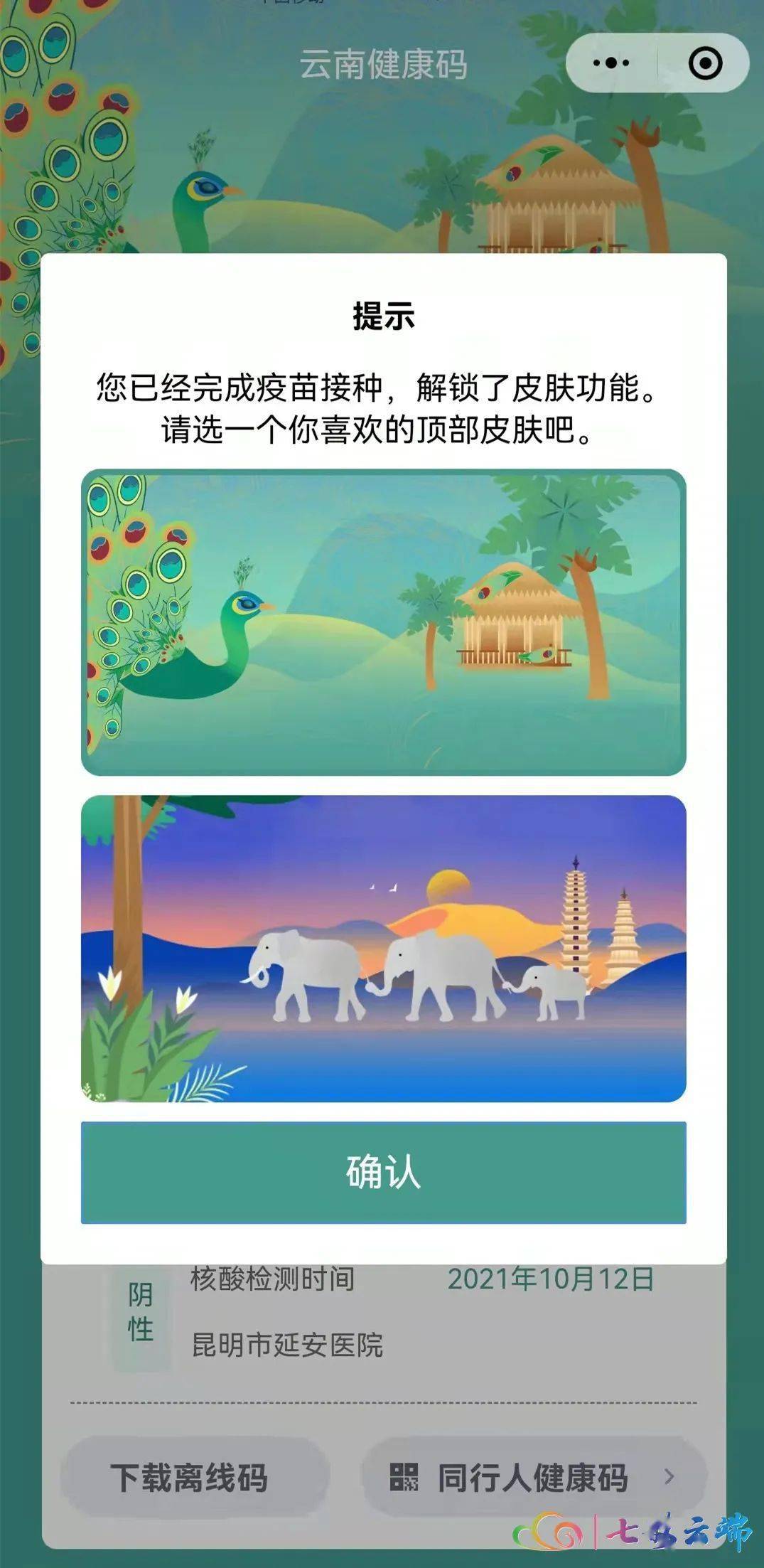 绿孔雀 云南健康码有变！