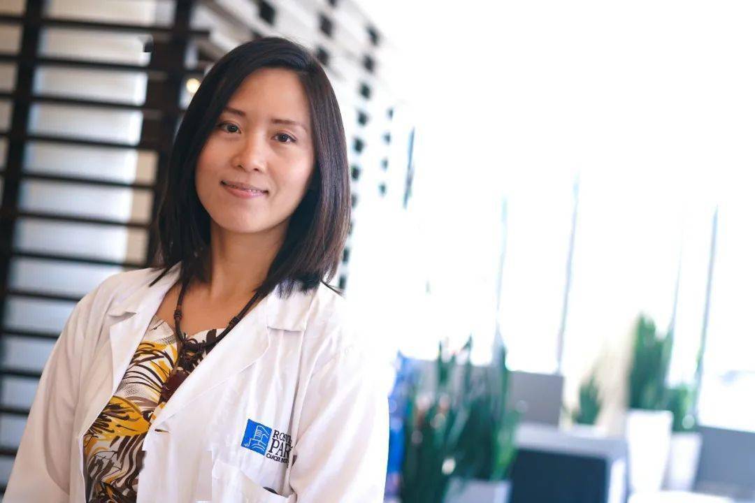 alfredo addeo副主编邵志敏郭小毛主编, 执行主编林东昕于金明王红阳