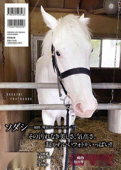 白马|世界最强，马中妲己！日本一本白马写真力压明星夺得销售榜第三名？看完后我理解了…