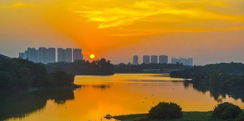 收藏 美成壁纸的秋日佛山 超惊艳 容铸华