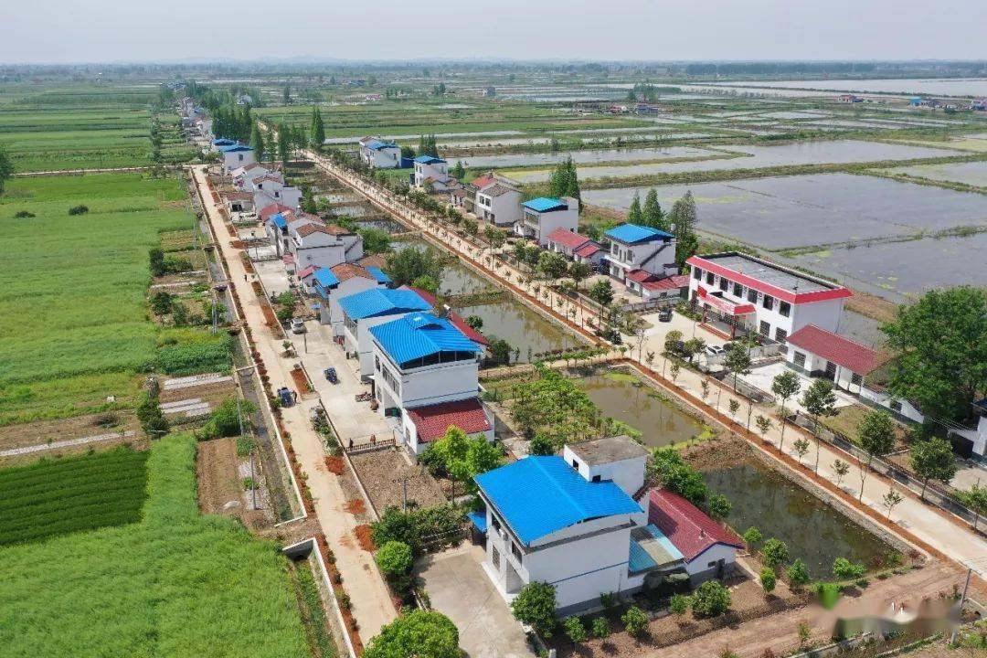 君山区:聚焦民生领域问题 做好巡视"后半篇文章"_整改