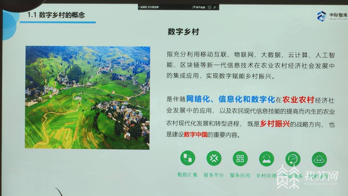 “数字乡村建设研讨会”在南京举行！数字技术让乡村“智变”网红