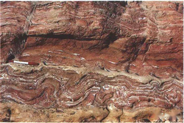 软沉积物变形包卷层理灰岩中的同沉积滑塌岩块倒转层序的藻灰岩旋回性