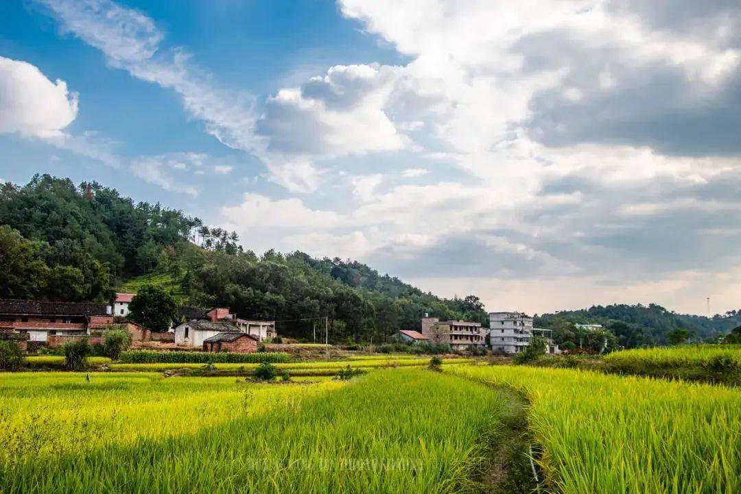 门票|畅游天下 | 全国数百家景区官宣限时免门票，快来看看有你想去的地方吗？