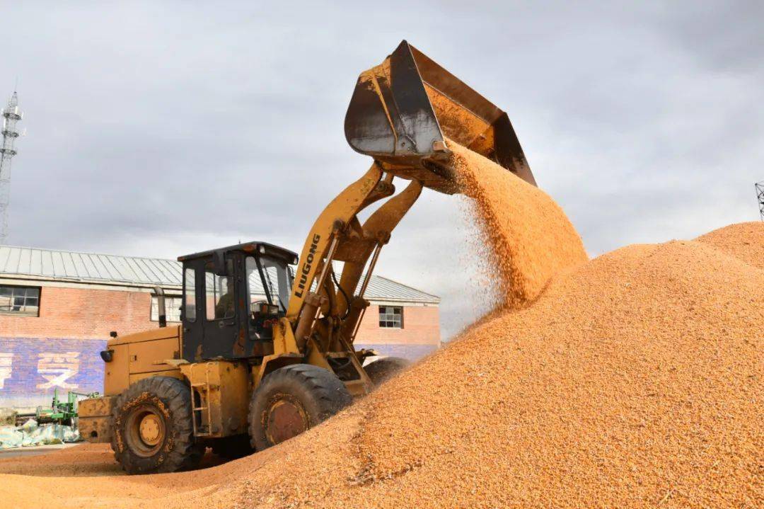 "零风险"自营模式通过盘活企业自身闲置资金和辖区内大型粮食收储企业