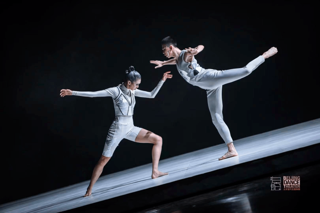 活动招募北京当代芭蕾舞团白蛇人间启示录舞蹈互动工作坊