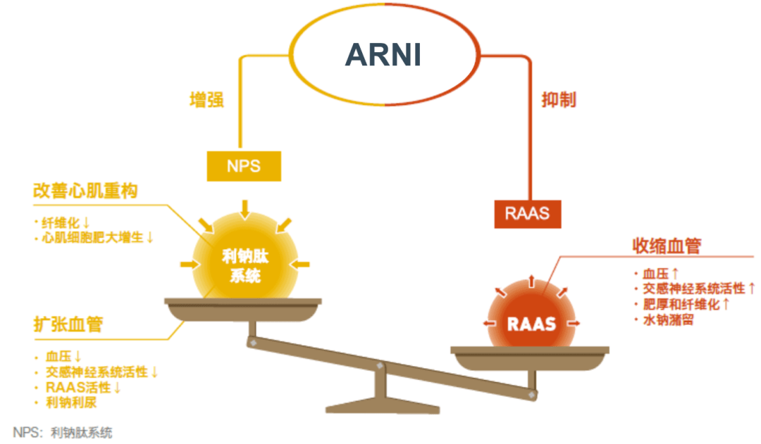 血管紧张素受体脑啡肽酶抑制剂(arni)在高血压合并 ms 患者中可能的