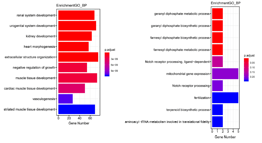 生信分析qpcr验证5分sci