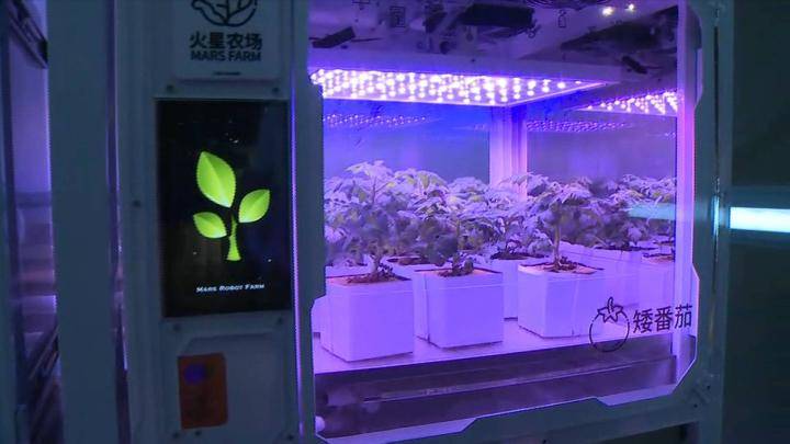 火星生活畅想记