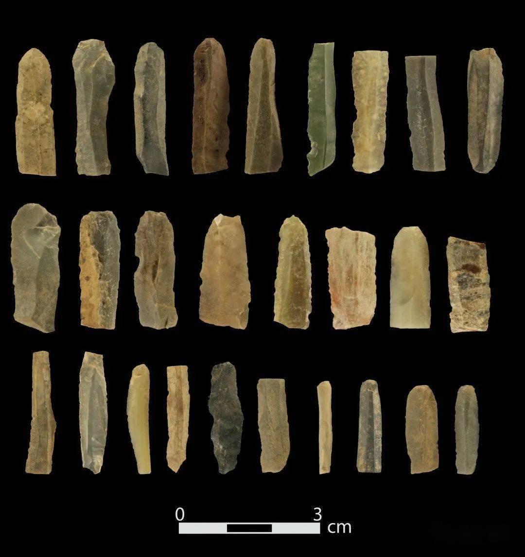 坍塌等堆积筛选出的细石叶坍塌等堆积筛选出的串珠坍塌等堆积筛选出的