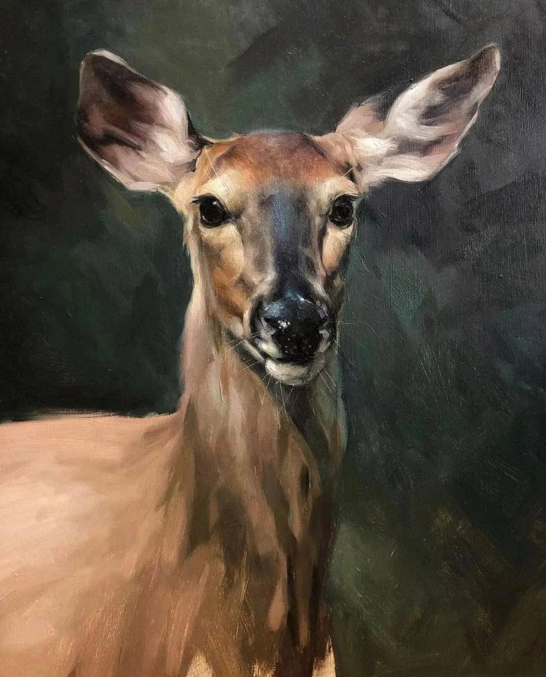 擅长画动物的画家jennifergennari作品欣赏