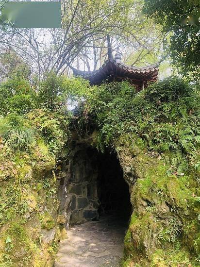 杭州动物园金鱼园：古典园林中赏“鱼之乐”