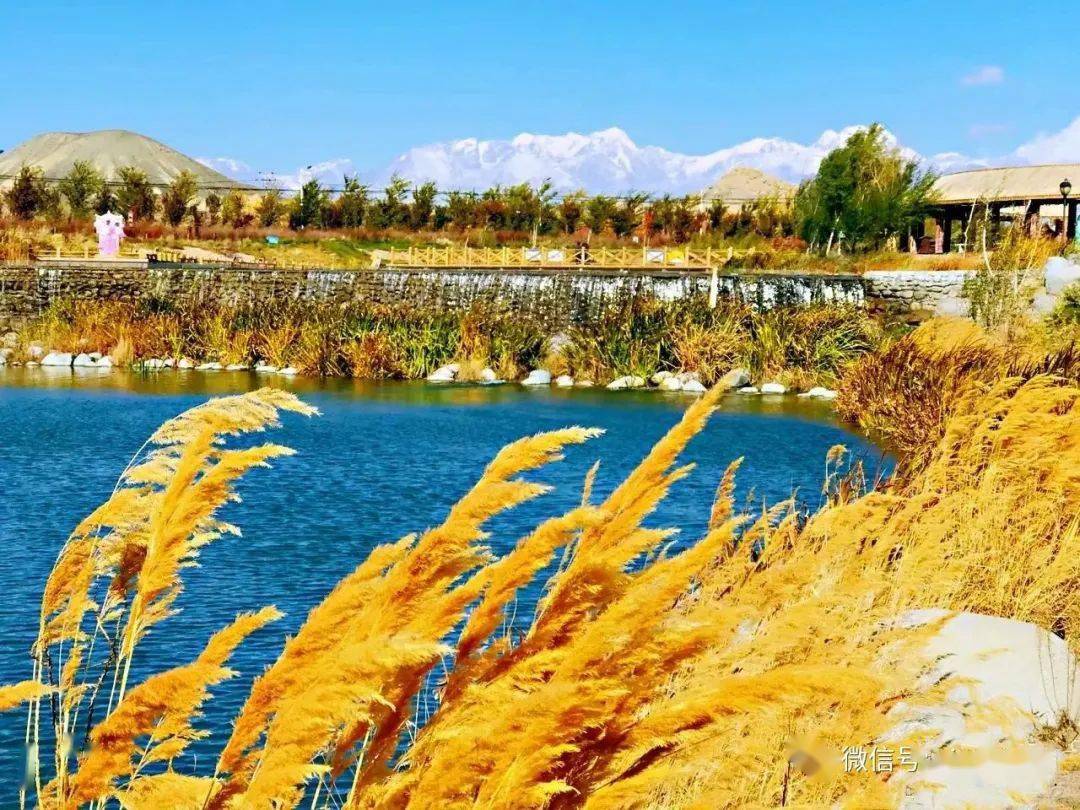 乌鲁木齐达坂城东沟木栈道秋色