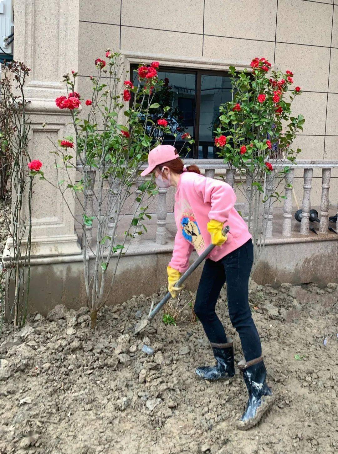 木篱笆葡萄架石板路
