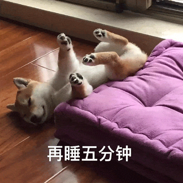 每日沙雕表情包