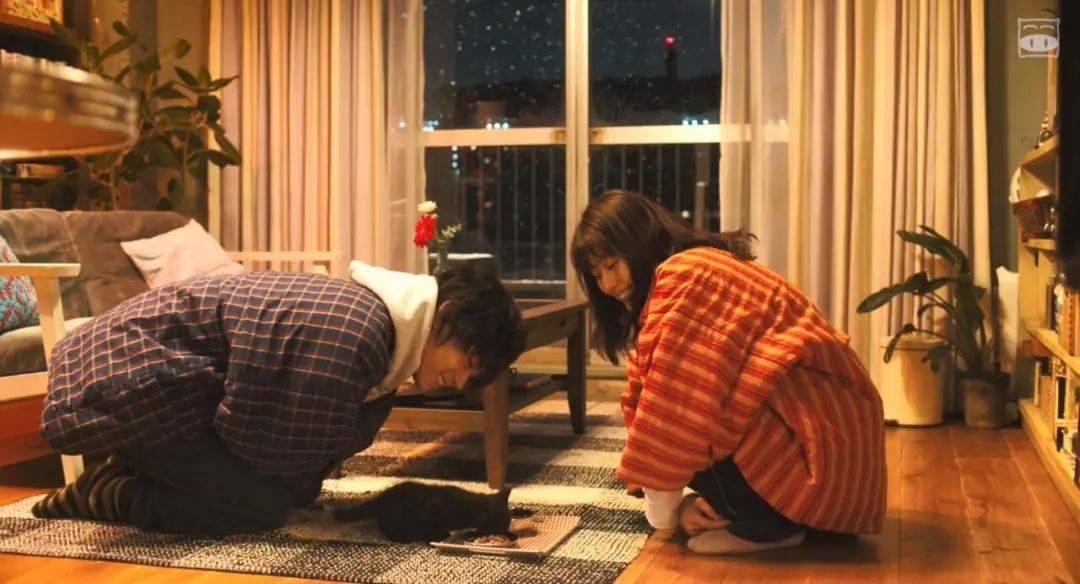 电影|这才是成年人看的爱情片,刺激且真实