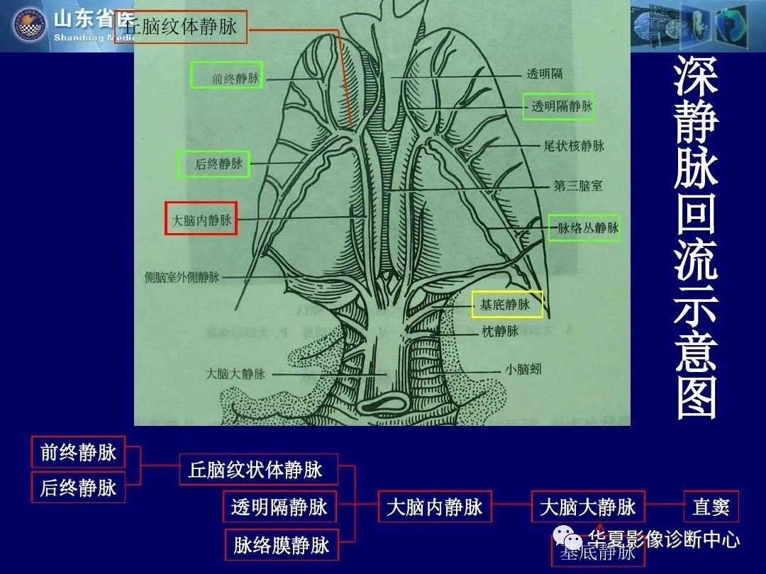 诊断|缺血性脑血管病的影像诊断