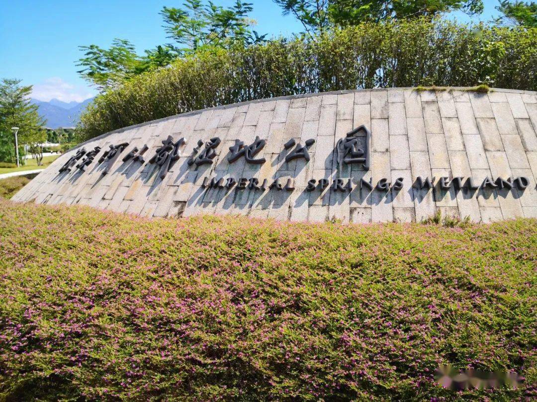 良口镇|两个人广州周边游，秋意浓，田园风光，远离闹市喧哗，安静又惬意