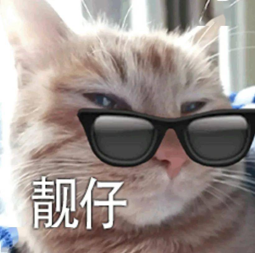 9dc7be7712a44dd58b368d77e8fbce41.jpeg