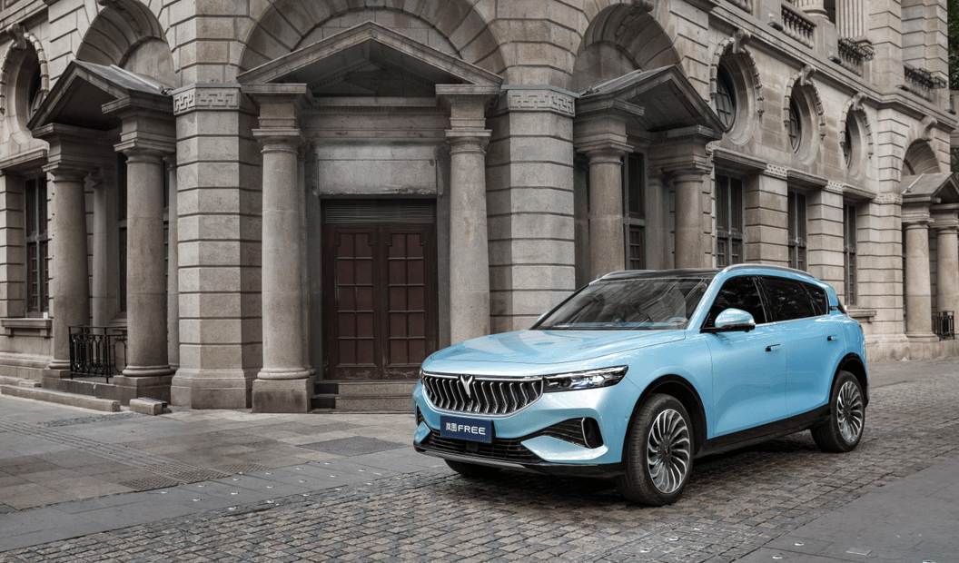 标配空悬售价3486万元岚图free纯电城市版正式上市