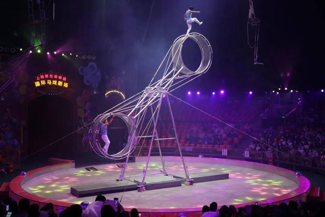 他们都曾在国际马戏比赛中多次获奖聚集了世界顶级的杂技演员