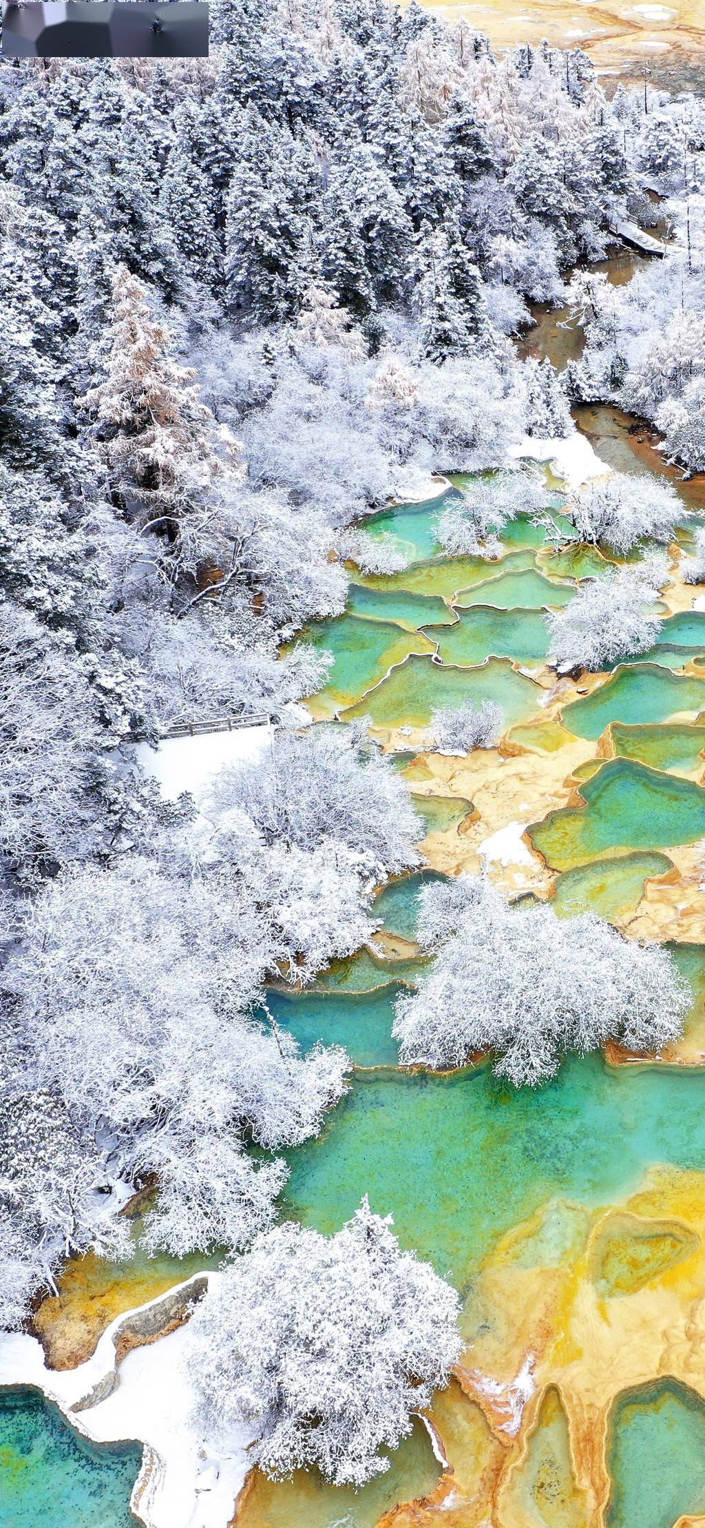 黄龙|美图暴击！｜雪中黄龙景区如仙境，看钙华池与白雪融合之美！