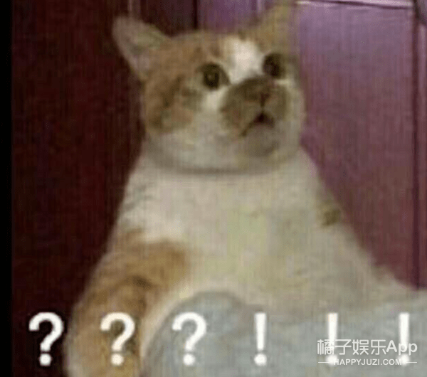 乐华三可真是个好数字，半藏森林后悔没进乐华？马思唯女友人气爆棚？