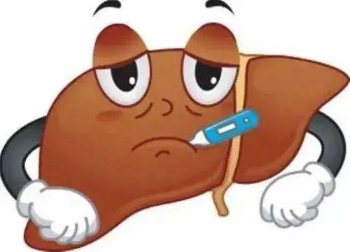 腫瘤|六旬老人意外查出肝癌晚期，他做了這個決定......
