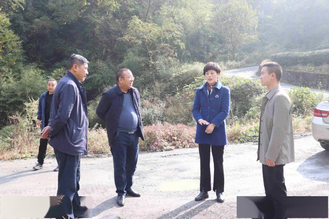 张永凤赴采花乡开展巡河工作和调研指导乡村振兴工作_两委