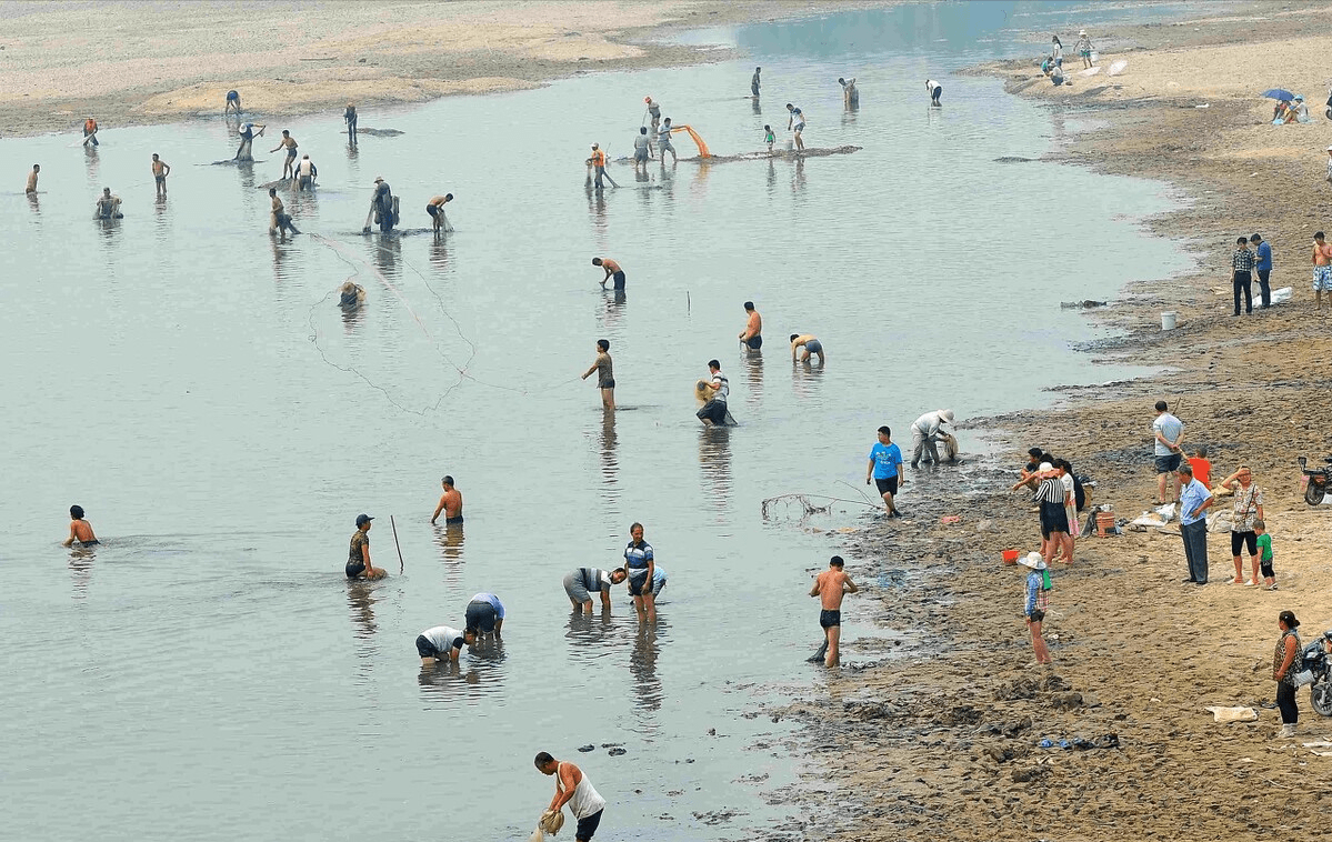 峽山湖的困局放魚護水60年鰱鱅為何保不了天然魚庫