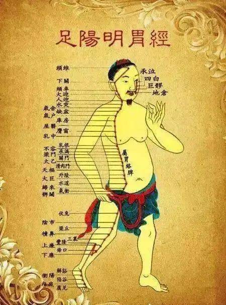 2,大腿前的肥胖(大腿前是脾胃经)同时肝胆互为表里,肝调畅情志,七情会