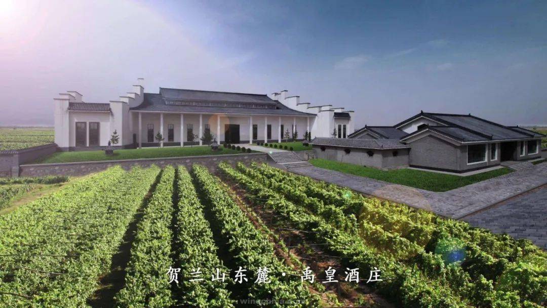 贺兰晴|线上云赏秋——疫情过后，来一场浪漫的酒庄之旅！