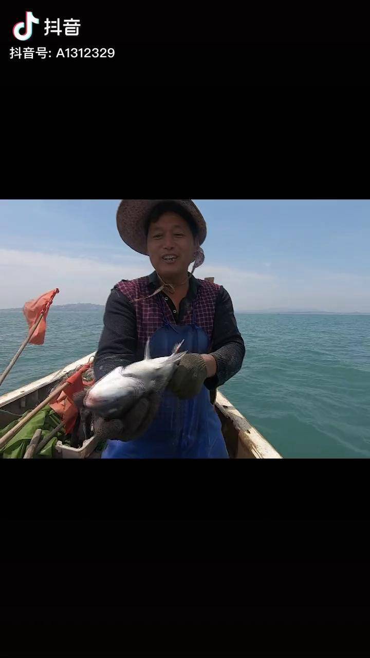 阿阳一去就捕到不少好货,辛苦一天卖了上千块 赶海