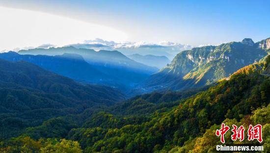 燕天|湖北神农架：千山万壑秋尽染