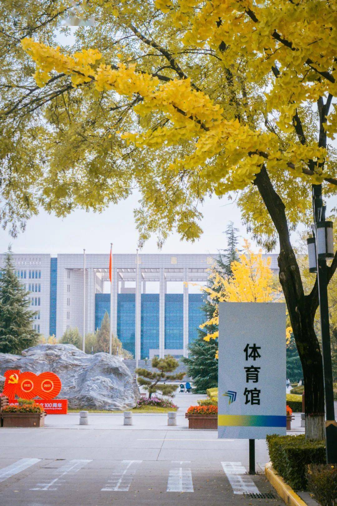 西北大学 最美图片