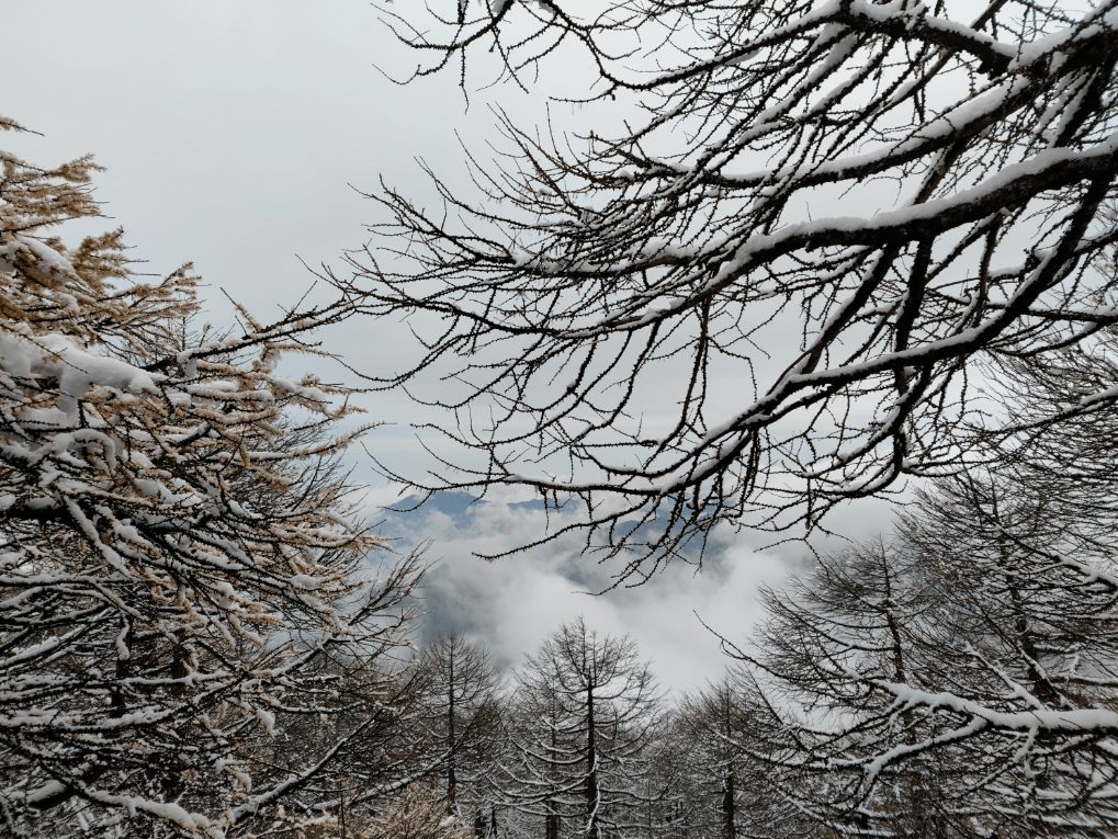 高山仰止,林海雪原驚豔世人