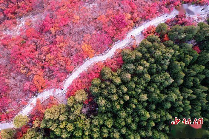 济南|山东济南“半边翠绿半边红”蝎子山成“网红”打卡地